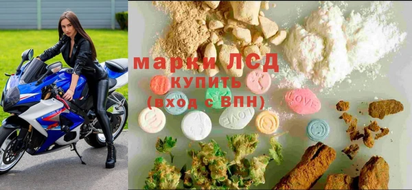 хмурый Богданович