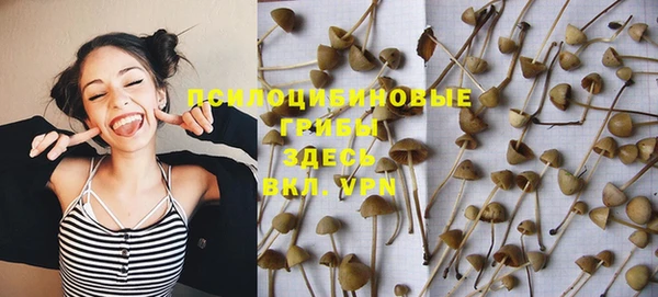 хмурый Богданович