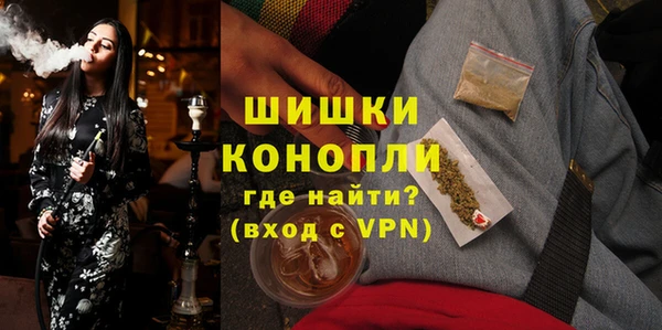 spice Богородск