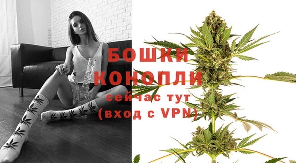 spice Богородск