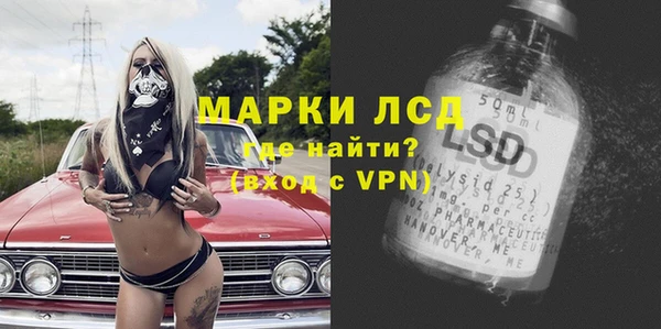 spice Богородск